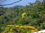 DSC06650