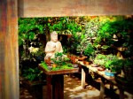 DSC08441