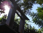 DSC09401
