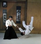 aikido