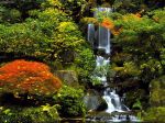 Japanese_Garden_Portland_Oregon