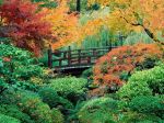 Japanese_Garden_Washington_Park_Portland_Oregon