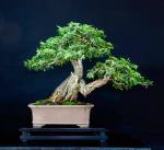 18871588_10209589850010254_1293168110_n