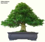 2350_1012244034083_1464483607_30041840_1846_n