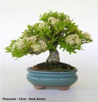 2350_1012244114085_1464483607_30041842_2284_n