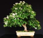 2873_1043778261874_1448140027_30102335_6439199_n