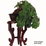 n1464483607_30041838_1407