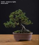 n1464483607_30042291_8162