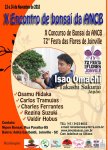 1 -X encontro de Bonsai da&nbsp;ANCB