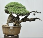 148481_168869196474474_100000541852690_467340_1764915_n