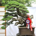 149708_168868949807832_100000541852690_467333_2352859_n