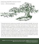 22780187_10204026952350302_8731649683111548287_n