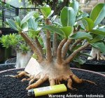 28579_1376184957514_1018537192_30983939_3312845_n