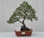 36187_168871176474276_100000541852690_467362_3878905_n