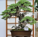 73831_168869679807759_100000541852690_467349_7749255_n