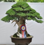 74340_168869396474454_100000541852690_467344_2859252_n