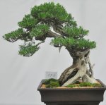 75370_168868679807859_100000541852690_467326_2808029_n