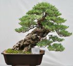 75778_168869719807755_100000541852690_467350_4253857_n