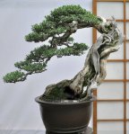 76149_168868869807840_100000541852690_467331_4669238_n