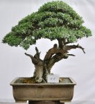 76523_168868783141182_100000541852690_467329_6816666_n