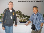bonsai 067