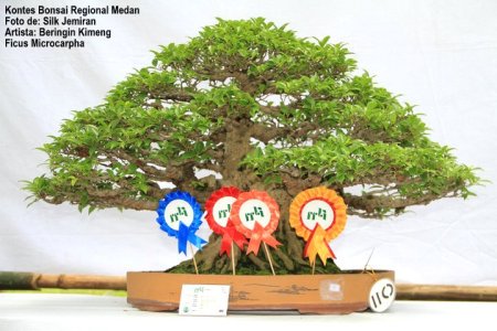 150817_148511515198259_100001182331104_234626_587284_n