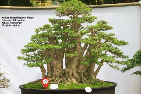 163476_148506428532101_100001182331104_234602_5987055_n