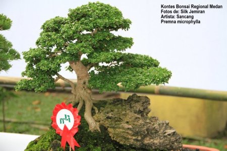 65396_148508915198519_100001182331104_234616_1966405_n