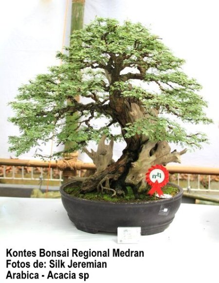 67131_148516021864475_100001182331104_234651_7486483_n