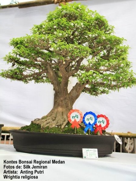 68104_148506495198761_100001182331104_234603_3156731_n