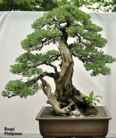 149202_168869046474489_100000541852690_467336_7387808_n1