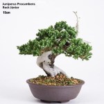 2350_1011935946381_1464483607_30041274_7270_n