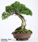 2350_1012553241813_1464483607_30042289_7645_n