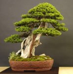 26820_382818427524_82869747524_4309211_8333158_n