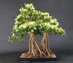 26820_384553817524_82869747524_4351365_7533113_n