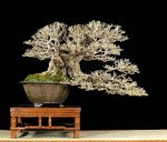 26820_385721967524_82869747524_4379090_210263_n