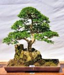 27961_395364217524_82869747524_4600690_811990_n