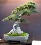 28561_399302347524_82869747524_4707129_8050857_n