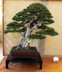 28787_391375927524_82869747524_4513596_6504409_n