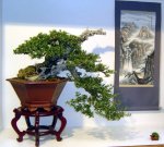 28911_392518577524_82869747524_4538150_8191399_n