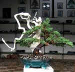 31111_402292027524_82869747524_4788676_7760471_n