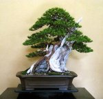 33890_441486187524_82869747524_5763396_688978_n