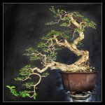 36015_406811707524_82869747524_4922758_501023_n