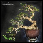 4691751903_d446d6a22b_b