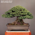 4724371544_90cf7eb366