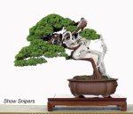 65319_438948917524_82869747524_5713990_2546513_n