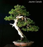 74089_446504567524_82869747524_5851963_6004891_n