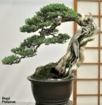 76149_168868869807840_100000541852690_467331_4669238_n1