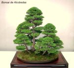 76823_454819152524_82869747524_5983591_7265951_n