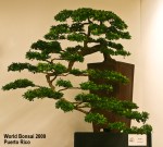 World Bonsai Convention&nbsp;2009